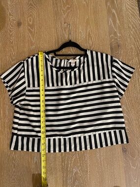 Amuse Society Crop Top (L)